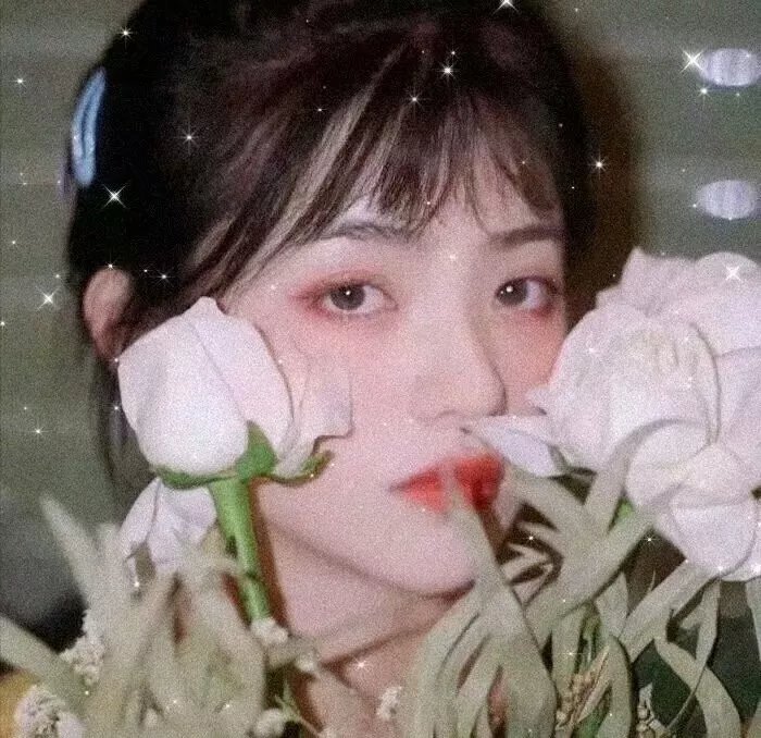 我们的歌第五季